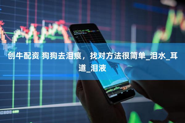 创牛配资 狗狗去泪痕，找对方法很简单_泪水_耳道_泪液
